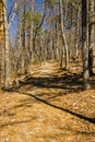 View of Buck Mountain Trail Royalty Free Stock Photo